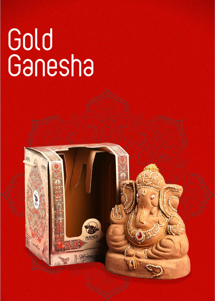 Wow Nandi - Gold Ganesha